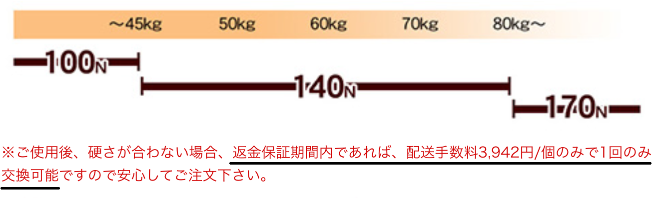 ���b�g����1�񂾂������\